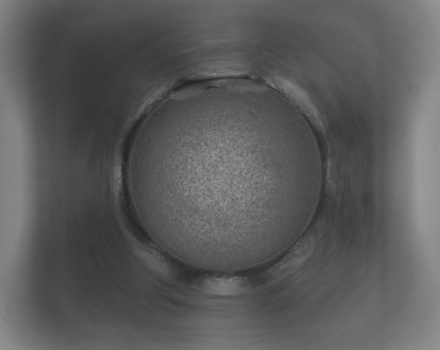 X0000112180202200908141332