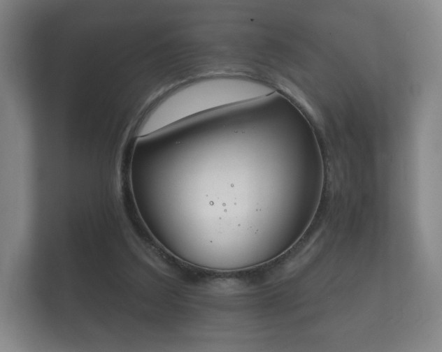 X0000112180203200908141332