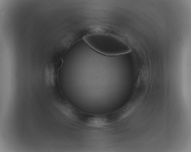 X0000112180223200908141332