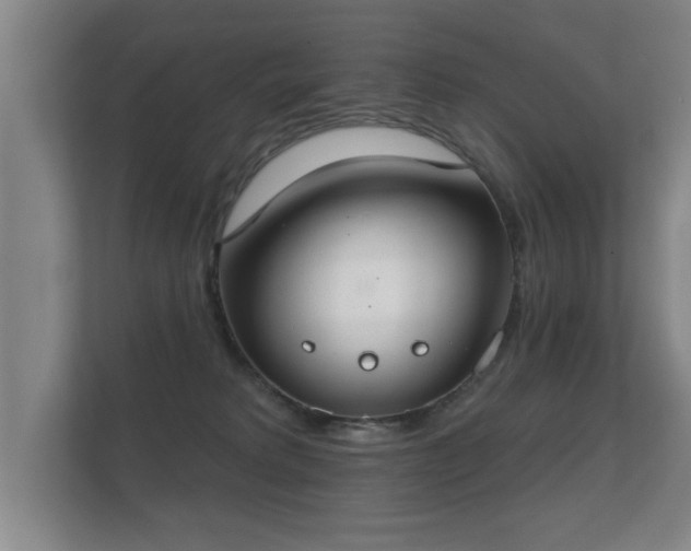 X0000112180229200908141332