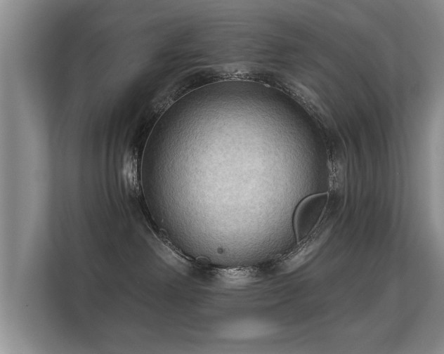 X0000112180238200908141332