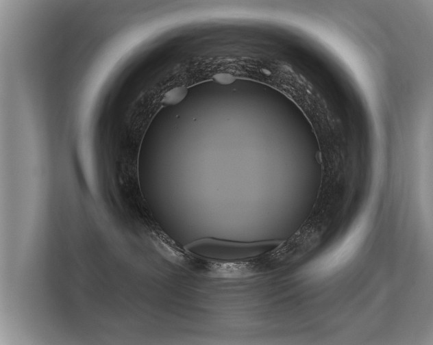 X0000112180239200908141332