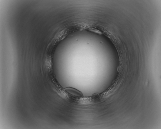 X0000112180240200908141332