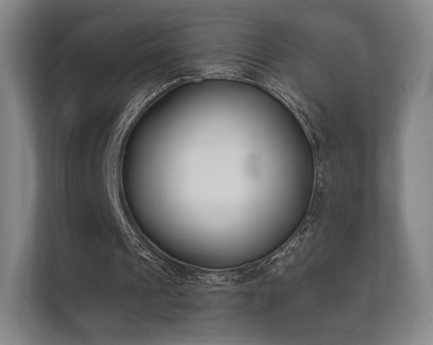 X0000112180241200908141331