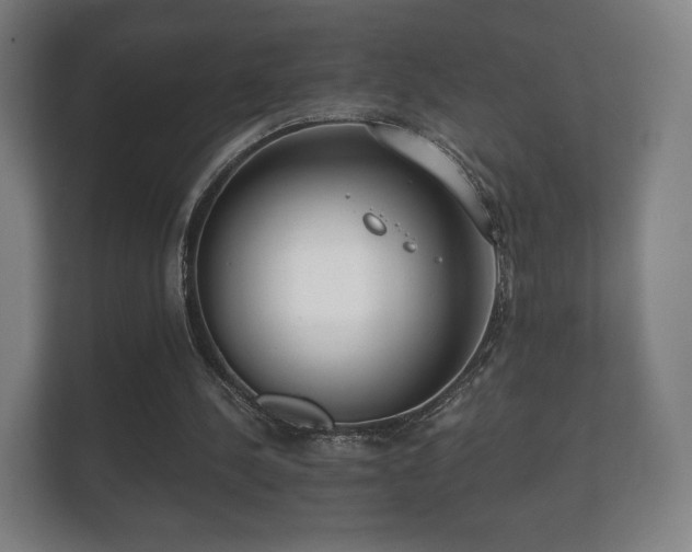 X0000112180244200908141331