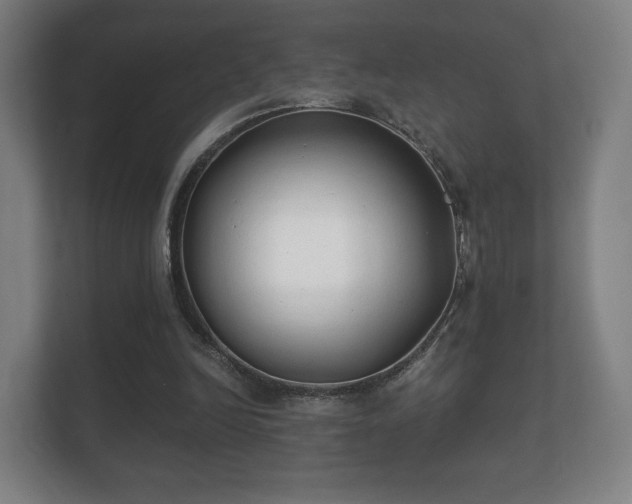 X0000112180246200908141331