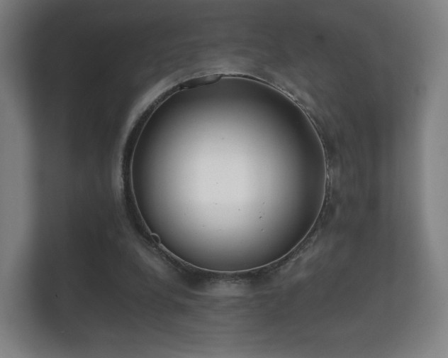 X0000112180248200908141331