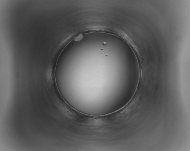 X0000112180249200908141331