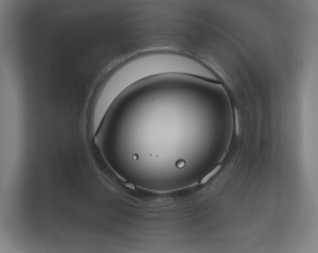 X0000112180252200908141331