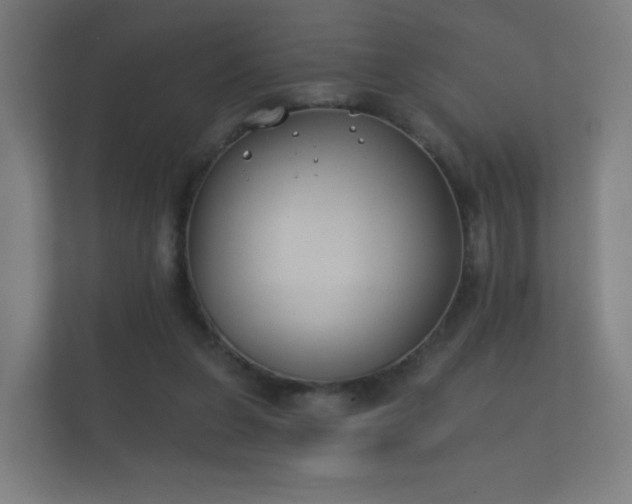 X0000112180255200908141331