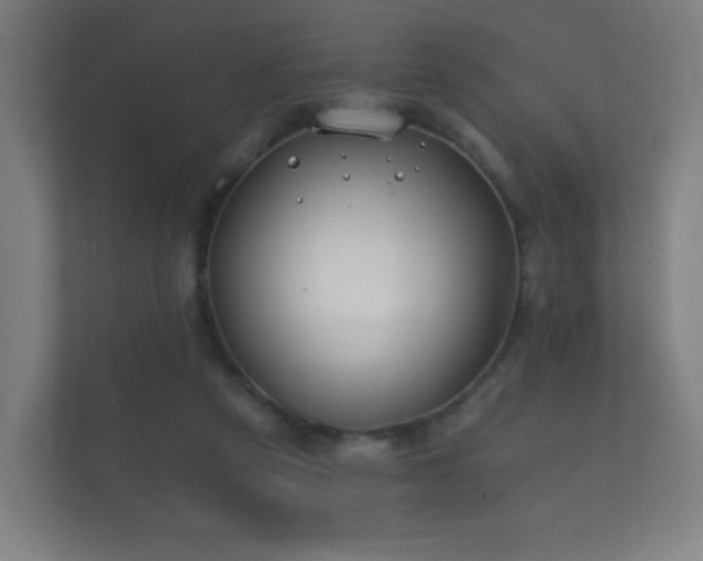 X0000112180257200908141331