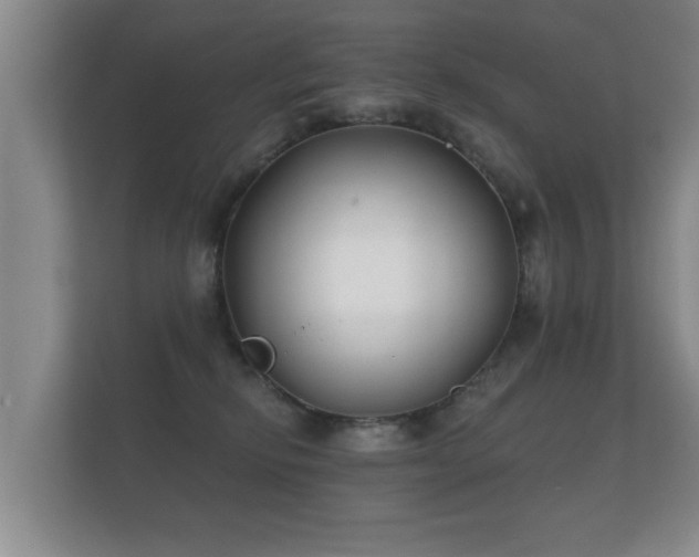 X0000112180278200908141332