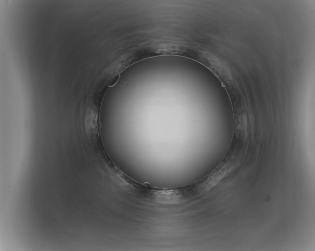 X0000112180281200908141332