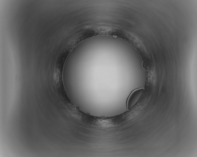 X0000112180283200908141332