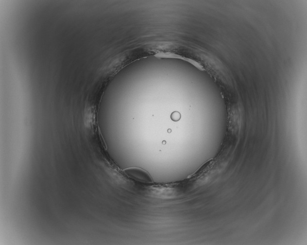 X0000112180284200908141332