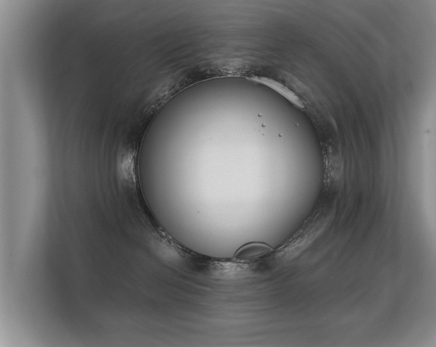 X0000112180286200908141332