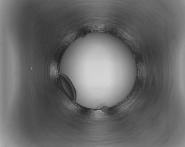 X0000112180287200908141332