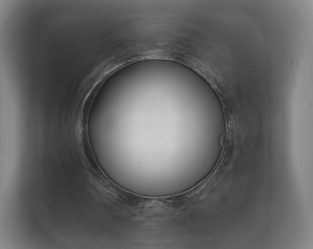 X0000112180290200908141331