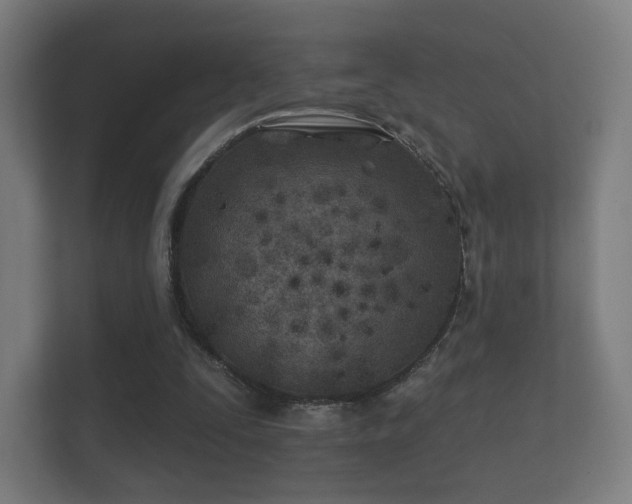 X0000112180295200908141331