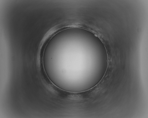 X0000112180296200908141331