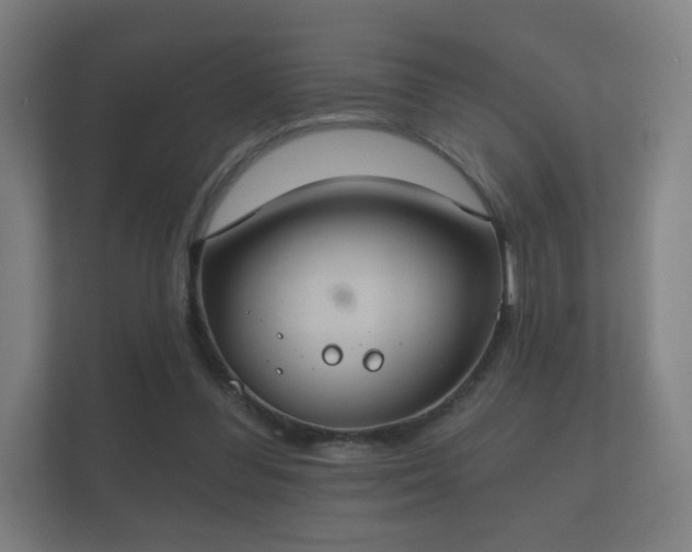 X0000112180300200908141331