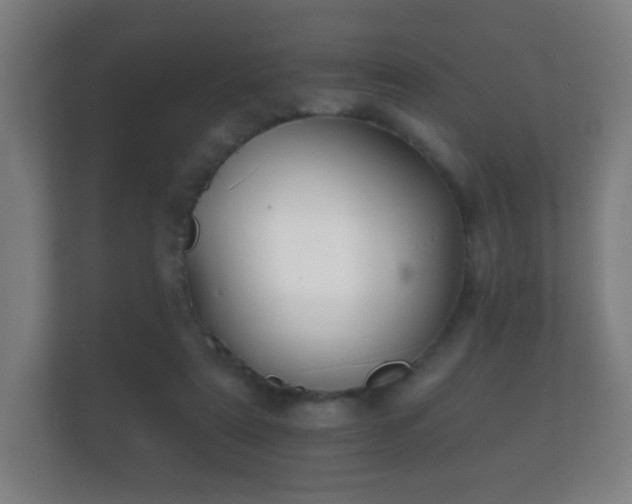 X0000112180307200908141331