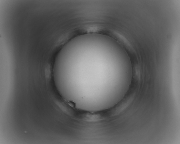 X0000112180311200908141331