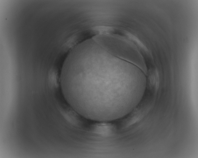 X0000112180316200908141331