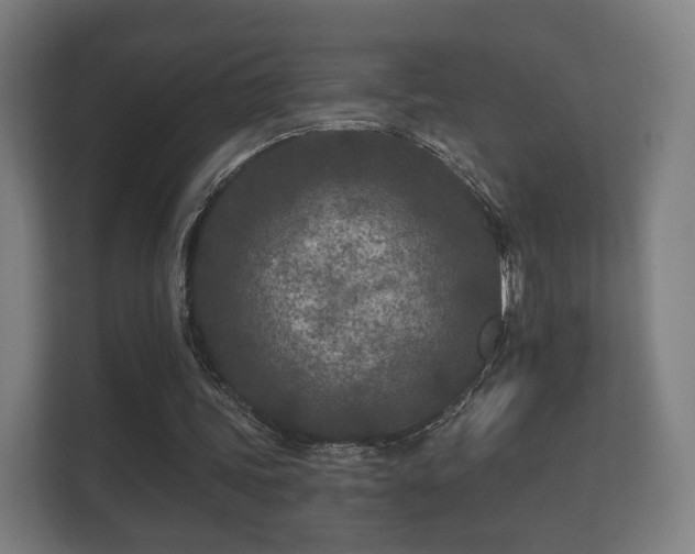 X0000112180339200908141330