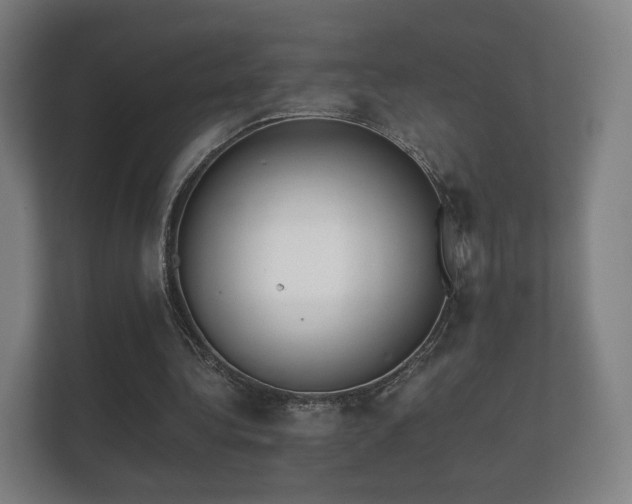 X0000112180340200908141330