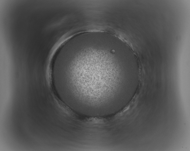 X0000112180343200908141330