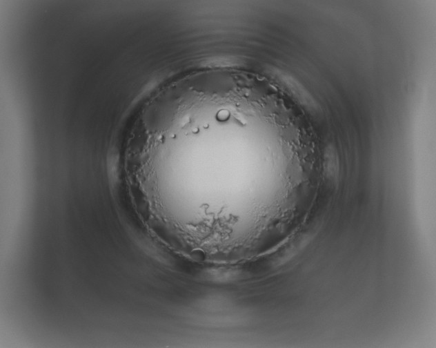 X0000112180351200908141330