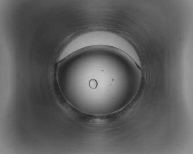 X0000112180352200908141330