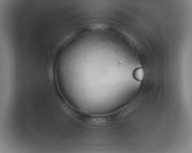 X0000112180353200908141330