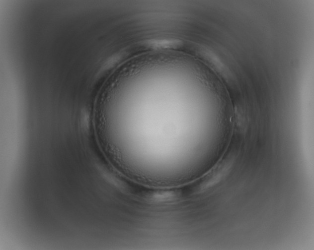 X0000112180357200908141330