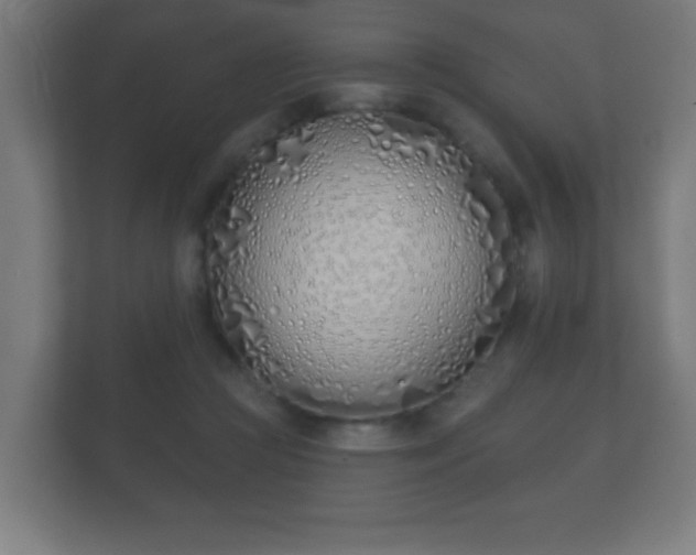 X0000112180361200908141330