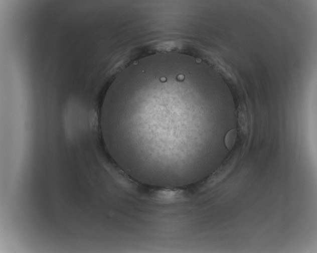 X0000112180375200908141330