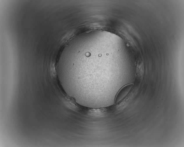 X0000112180381200908141330