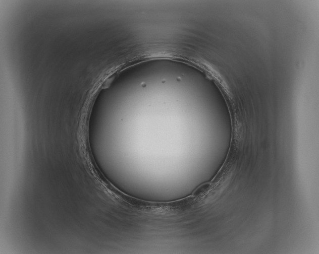 X0000112180385200908141330