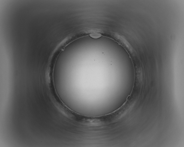 X0000112180395200908141330