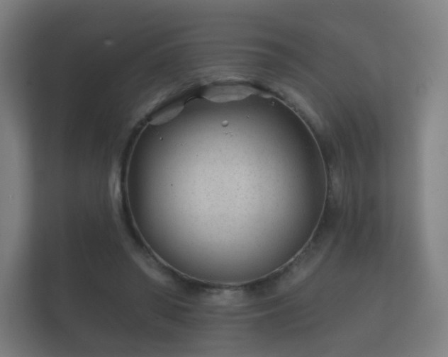 X0000112180398200908141330