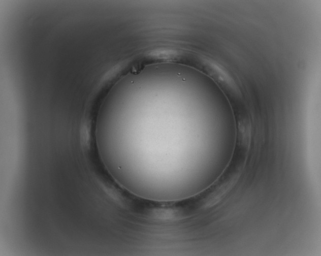 X0000112180404200908141330