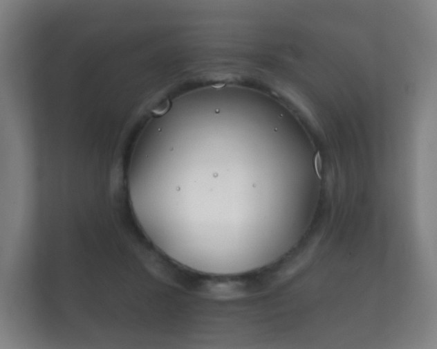 X0000112180407200908141330