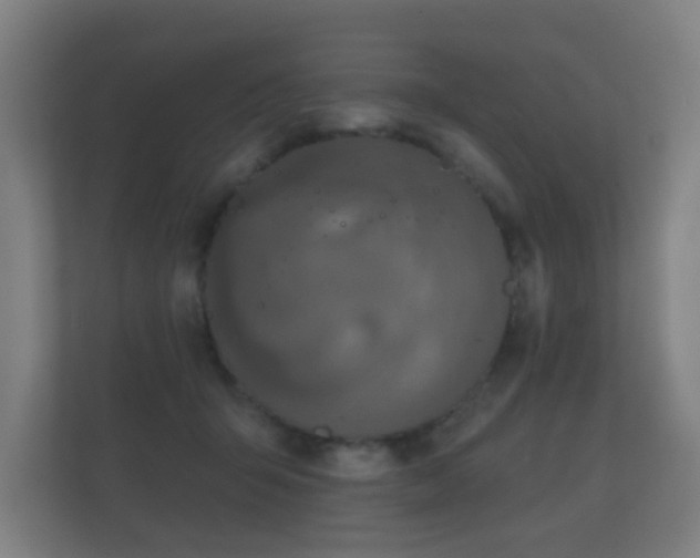 X0000112180415200908141329