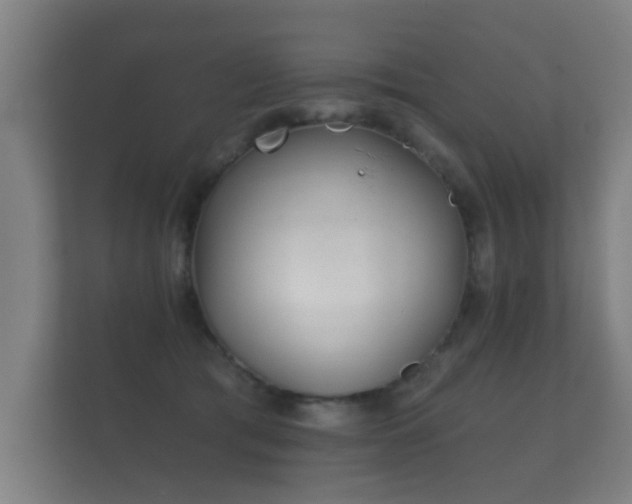 X0000112180417200908141329