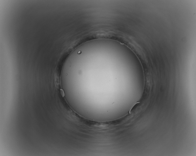 X0000112180419200908141329