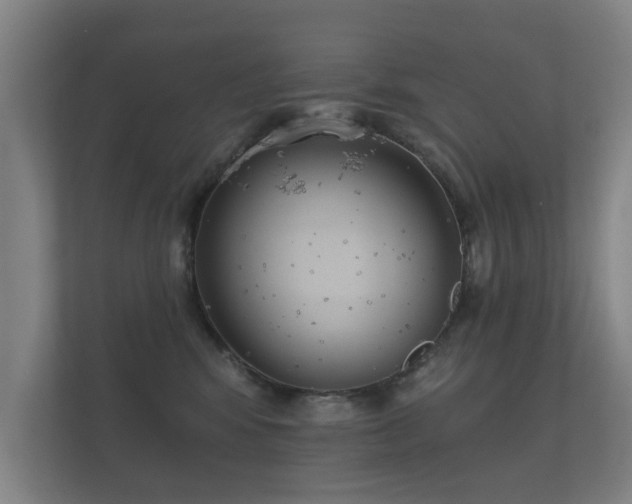 X0000112180424200908141329