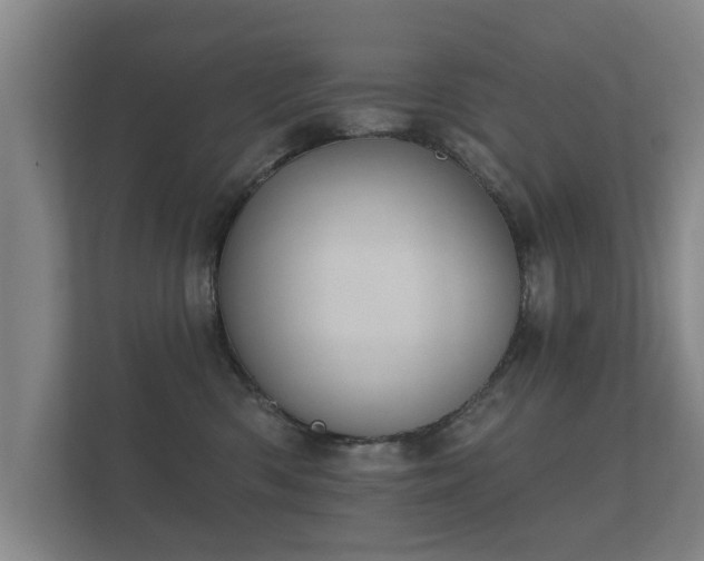 X0000112180426200908141329