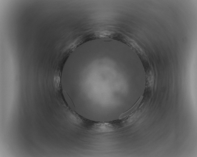 X0000112180427200908141329