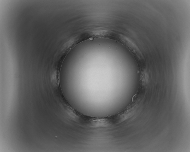 X0000112180428200908141329